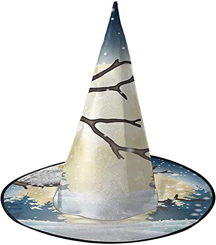 KEROTA Winter-Eule Halloween Verzieren Magischer Hut Hexenhut für Party Maskerade Cosplay Kostüm Zubehör KEROTA Winter-Eule Halloween Verzieren Magischer Hut Hexenhut für Party Maskerade Cosplay Kostüm Zubehör von KEROTA