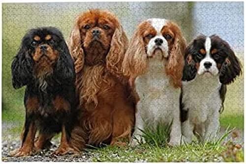 Papery Puzzles 1000 Teile,Cavalier King Charles Spaniel Brain Challenge Puzzle Puzzlespiel Papery Puzzle Nachhaltig Dekorativ Für Teenager Kinder Kinder 70 * 50cm Papery Puzzles 1000 Teile,Cavalier King Charles Spaniel Brain Challenge Puzzle Puzzlespiel Papery Puzzle Nachhaltig Dekorativ Für Teenager Kinder Kinder 70 * 50cm von KESIMO