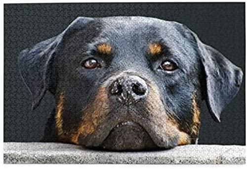 Puzzles 1000 Teile Rottweiler Haustiere Hunde Rottweiler Papierpuzzle Spielzeug Familienspiel Wanddekoration Für Erwachsene Teenager 50 * 70 cm von KESIMO