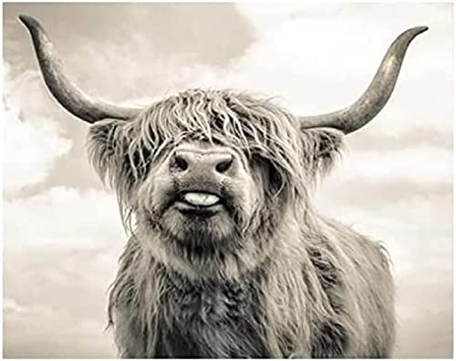 Puzzles für Erwachsene, 1000 Teile, Highland Cow Puzzles, Kinder, pädagogisches, intellektuelles, dekomprimierendes, lustiges Familienspiel, 38 x 26 cm Puzzles für Erwachsene, 1000 Teile, Highland Cow Puzzles, Kinder, pädagogisches, intellektuelles, dekomprimierendes, lustiges Familienspiel, 38 x 26 cm von KESIMO