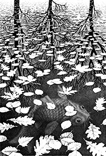 Puzzles für Erwachsene 1000 Teile Escher DREI Welten Giclée-Puzzle für Erwachsene 1000 Teile ， Herausforderndes Puzzlespiel /75 * 50cm 70 * 50cm von KESIMO