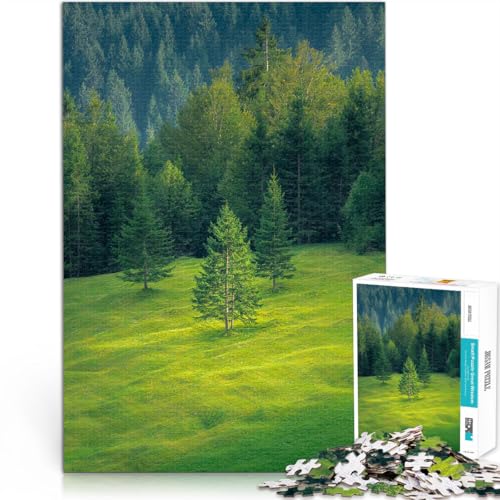 Puzzle für Erwachsene 1000 Teile “Hochland” Aus Karton,ab 14 Jahren Familienaktivitäten Weihnachts- und Geburtstagsgeschenke。Größe:38x52cm/14.9x20.4Zoll Puzzle für Erwachsene 1000 Teile “Hochland” Aus Karton,ab 14 Jahren Familienaktivitäten Weihnachts- und Geburtstagsgeschenke。Größe:38x52cm/14.9x20.4Zoll von KGUHVFTK