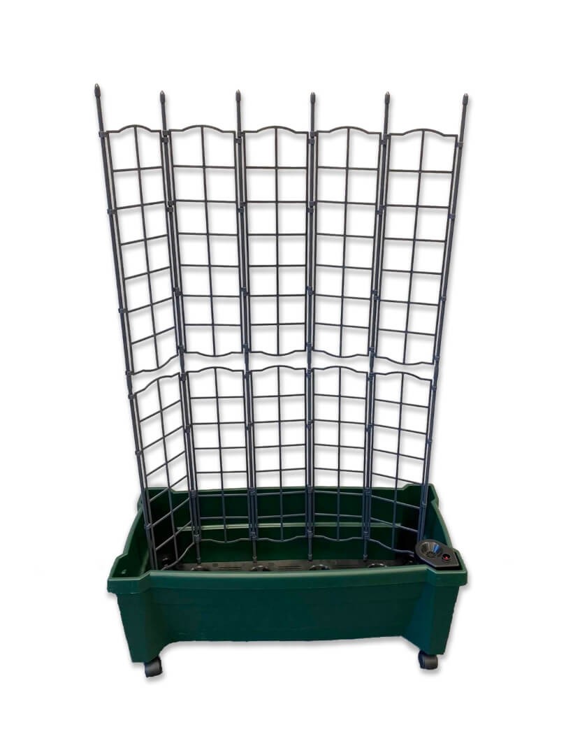 Calypso Pflanzkasten mit Bewässerungssystem, Rollen und Spalier in grün Calypso Pflanzkasten mit Bewässerungssystem, Rollen und Spalier in grün von KHW