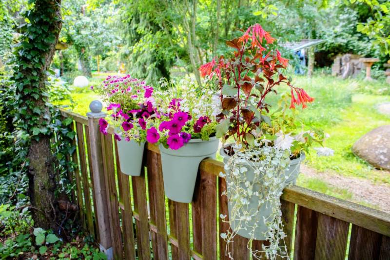 Flowerclip Blumentöpfe, 3er Set, mintgrün von KHW