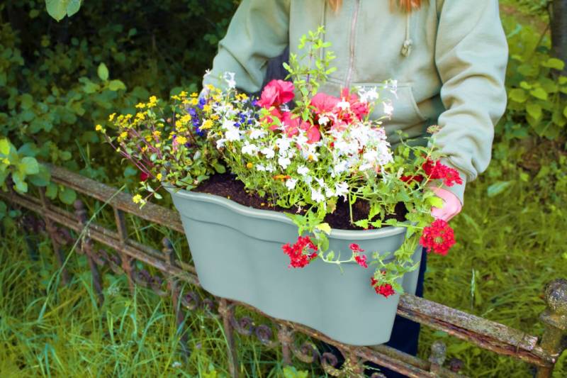 Flowerclip XL Blumentöpfe, 2er Set, mintgrün von KHW