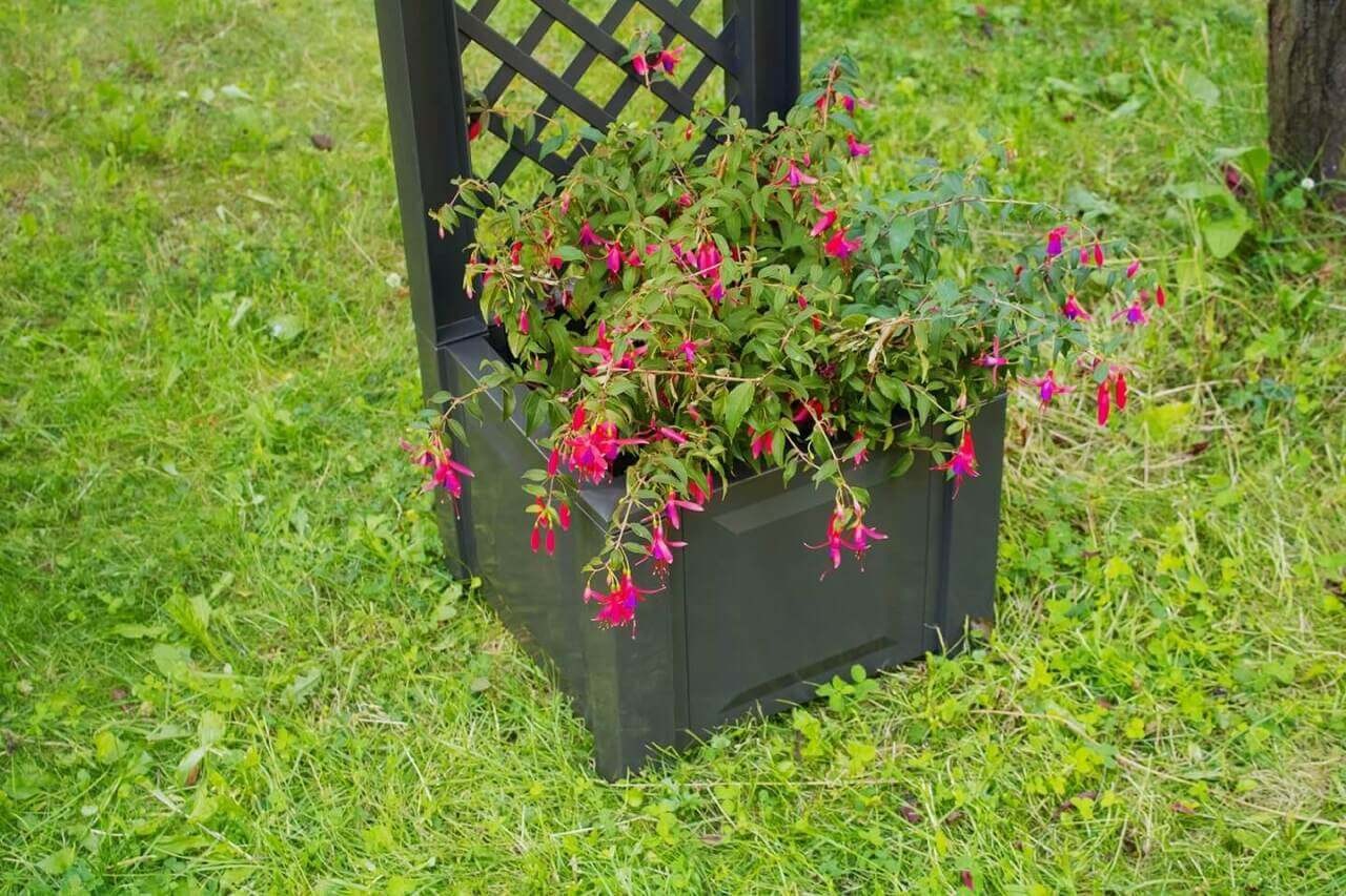 Pflanzkasten klein, mit Spalier, 43 cm, anthrazit Pflanzkasten klein, mit Spalier, 43 cm, anthrazit von KHW