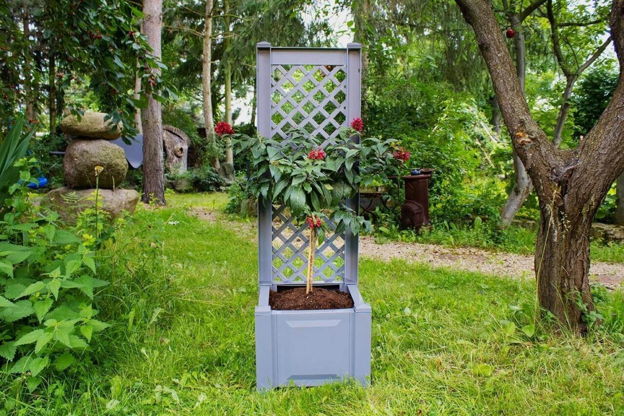 Pflanzkasten klein, mit Spalier, 43 cm, grau Pflanzkasten klein, mit Spalier, 43 cm, grau von KHW