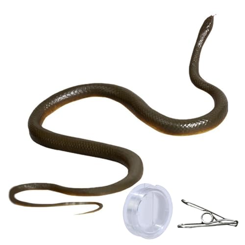 KHZen Neuheit Schlange Streich Schlange Streich Set Aprilfools Halloween Gadgets Schlange String Jagd Menschen Praktische Witzspielzeug KHZen Neuheit Schlange Streich Schlange Streich Set Aprilfools Halloween Gadgets Schlange String Jagd Menschen Praktische Witzspielzeug von KHZen
