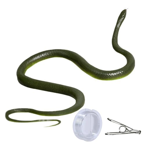 KHZen Neuheit Schlange Streich Schlange Streich Set Aprilfools Halloween Gadgets Schlange String Jagd Menschen Praktische Witzspielzeug KHZen Neuheit Schlange Streich Schlange Streich Set Aprilfools Halloween Gadgets Schlange String Jagd Menschen Praktische Witzspielzeug von KHZen