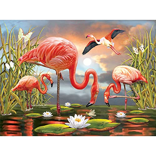 1000 Teile Puzzle für Erwachsene ROSILAND Salomon Flamingos Premium Puzzle Collection Blueboard Puzzle in einer Sort-R-Box by KI Puzzles 1000 Teile Puzzle für Erwachsene ROSILAND Salomon Flamingos Premium Puzzle Collection Blueboard Puzzle in einer Sort-R-Box by KI Puzzles von KI PUZZLES