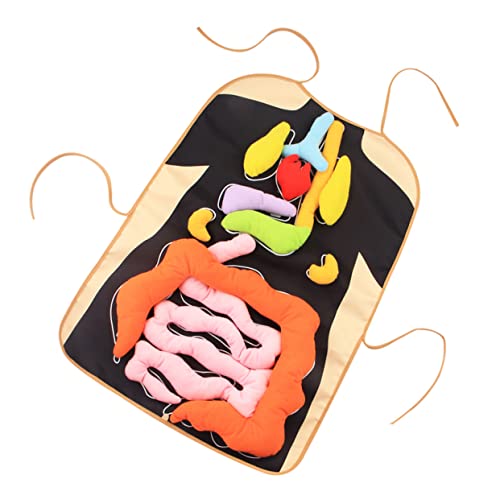 KICHOUSE 1 Satz Kognitives für die frühe Bildung dreidimensionale Organschürze Schürze für menschliche Organe Kinderspielzeug 3D menschliche Organe Schürze Twill-Stoff von KICHOUSE