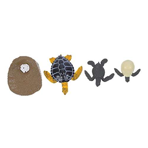 KICHOUSE 1 Satz Tierischer Wachstumszyklus Lebenszyklusmodelle Für Schildkröten Schildkröten-lebenszyklusmodell Modelle des Wachstumszyklus Von Schildkröten Plastik KICHOUSE 1 Satz Tierischer Wachstumszyklus Lebenszyklusmodelle Für Schildkröten Schildkröten-lebenszyklusmodell Modelle des Wachstumszyklus Von Schildkröten Plastik von KICHOUSE