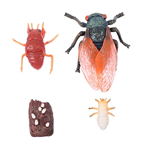KICHOUSE 1 Satz Tierwissenschafts- Und Bildungsspielzeugset Simulierte Tiere Lebenszyklus Kinderspielzeug Plastik KICHOUSE 1 Satz Tierwissenschafts- Und Bildungsspielzeugset Simulierte Tiere Lebenszyklus Kinderspielzeug Plastik von KICHOUSE