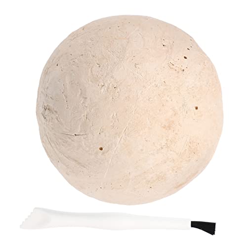 KICHOUSE 1 Satz ausgraben Edelsteine Kinderspielzeug Edelstein-Grab-Kit Edelstein- Ausgrabungssets für Ausgrabungsset für Graben bausatz Plastik von KICHOUSE