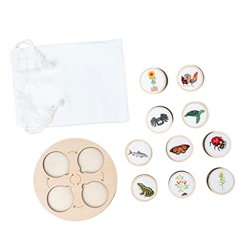 KICHOUSE 1 Set Lebenszyklus Spielzeugmodelle Tiere Die Tier Lernzyklusfiguren Aus Holz Lernzyklusfiguren Für Tiere Wachstumszyklus Tierwachstumsfiguren Tierzyklusmodell von KICHOUSE