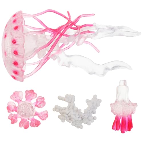 KICHOUSE 1 Set Lernspielzeug Für Mini Meerestierfiguren Für Die Lebenszykluserziehung Und Meerestiermodelle Für Wissenschaftliche Spiele Im Vorschulalter KICHOUSE 1 Set Lernspielzeug Für Mini Meerestierfiguren Für Die Lebenszykluserziehung Und Meerestiermodelle Für Wissenschaftliche Spiele Im Vorschulalter von KICHOUSE