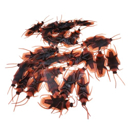 KICHOUSE 100 Stück Kunststoff Realistische Kakerlaken Teiliges Täuschend Echte Horrorspielzeuge für Halloween Feiern und Streiche Lifelike Fake Insekten für Spaß und Schockeffekte KICHOUSE 100 Stück Kunststoff Realistische Kakerlaken Teiliges Täuschend Echte Horrorspielzeuge für Halloween Feiern und Streiche Lifelike Fake Insekten für Spaß und Schockeffekte von KICHOUSE
