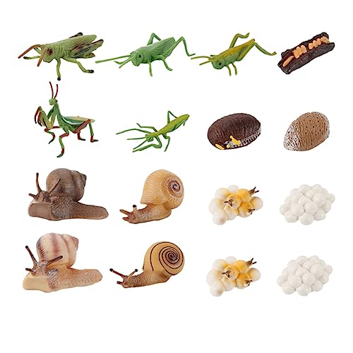 KICHOUSE 16Stücke Teiliges Tierwachstumsmodell für Kindergarten Kreatives Lernspielzeug für Simulation der Tierwachstumszyklen Hergestellt aus Hochwertigem Material KICHOUSE 16Stücke Teiliges Tierwachstumsmodell für Kindergarten Kreatives Lernspielzeug für Simulation der Tierwachstumszyklen Hergestellt aus Hochwertigem Material von KICHOUSE