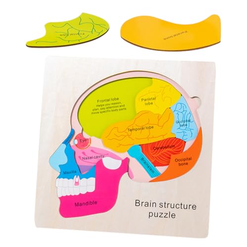 KICHOUSE 1Satz Gehirnstruktur Puzzle aus Holz für Kognitives Lernspielzeug Kreativität und Praktischer Fähigkeiten für Frühkindliche Bildung und Gehirnentwicklung von KICHOUSE