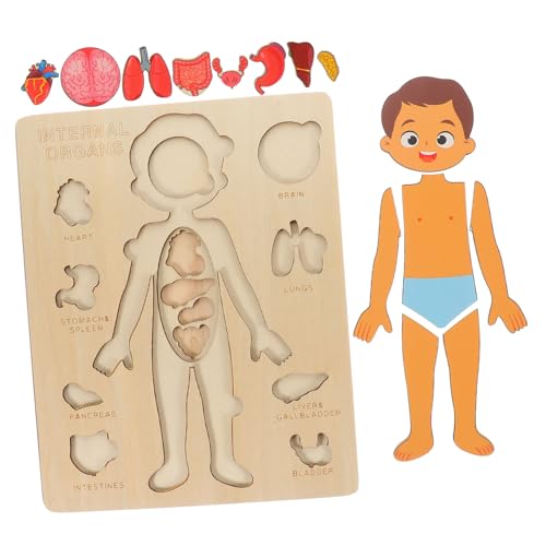 KICHOUSE 1Satz Holz Körperpuzzle Für Pädagogisches Puzzle Für Kleinkinder Zur des Wissens Über Menschliche Und Körperstrukturen von KICHOUSE