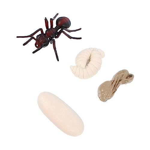 KICHOUSE 1Satz Nachbildung Der Roten Figuren Pädagogisches Spielzeugmodell Für Lebenszyklus Von Insekten Lernspielzeug Kognitiven Fähigkeiten KICHOUSE 1Satz Nachbildung Der Roten Figuren Pädagogisches Spielzeugmodell Für Lebenszyklus Von Insekten Lernspielzeug Kognitiven Fähigkeiten von KICHOUSE