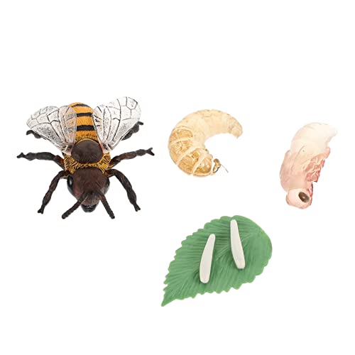 KICHOUSE 1Satz Simulation Honigbiene Figuren Insektenwachstumszyklus Für Lernspielzeug Kognitiven Fähigkeiten Montessori Inspiration Für Projekte KICHOUSE 1Satz Simulation Honigbiene Figuren Insektenwachstumszyklus Für Lernspielzeug Kognitiven Fähigkeiten Montessori Inspiration Für Projekte von KICHOUSE