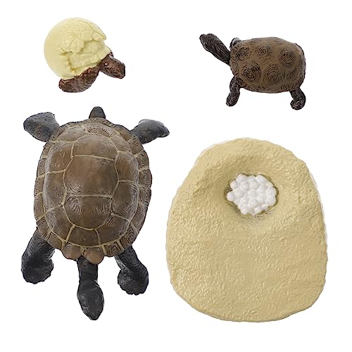 KICHOUSE 1Satz Simuliertes Schildkrötenspielzeug Lebenszyklus Modell Für Kognitive Lernhilfe Dekorative Schildkröte Figur Lernspielzeug Für Frühkindliche Bildung KICHOUSE 1Satz Simuliertes Schildkrötenspielzeug Lebenszyklus Modell Für Kognitive Lernhilfe Dekorative Schildkröte Figur Lernspielzeug Für Frühkindliche Bildung von KICHOUSE