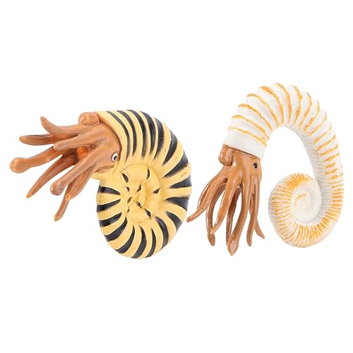 KICHOUSE 2 Stück Simuliertes Meerestiermodell Muschel Meerestierspielzeug Babypuppe Kinderspielzeug Ornamente Für Lebendige Schneckenfigur Tierfigur Modell Tierschmuck von KICHOUSE