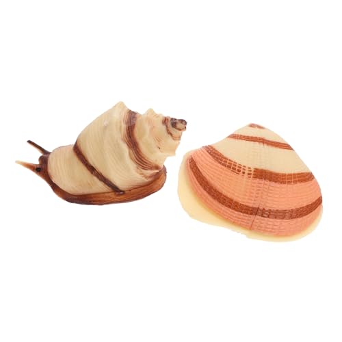 KICHOUSE 2 Stück Teiliges aus Realistischen Meerestier Modellen Dekoratives Conch und Muschelspielzeug für Geeignet für Lernspiel Aquarien Dekoration und Kreative von KICHOUSE