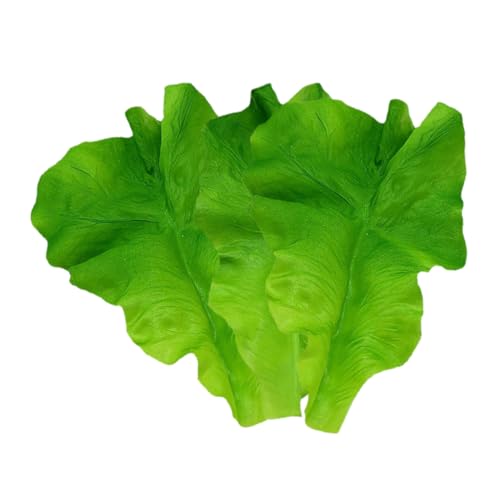 KICHOUSE 3pcs Lebensee Salatblatt -schmuckgefällige Gefälschte Gemüsedekoration Für Bauernhaus - -Simulation Blattmodelle Lebensmittelausstellung Requisite Für Restaurants Und KICHOUSE 3pcs Lebensee Salatblatt -schmuckgefällige Gefälschte Gemüsedekoration Für Bauernhaus - -Simulation Blattmodelle Lebensmittelausstellung Requisite Für Restaurants Und von KICHOUSE