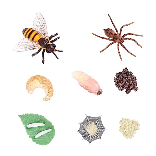 KICHOUSE 8 Stück Teiliges Insektenwachstumsmodell für Biene Spinne Lernspielzeug Vorstellungskraft und Natürlichen Wissenschaftsbildung KICHOUSE 8 Stück Teiliges Insektenwachstumsmodell für Biene Spinne Lernspielzeug Vorstellungskraft und Natürlichen Wissenschaftsbildung von KICHOUSE