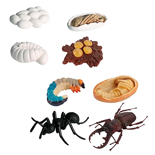 KICHOUSE 8Stücke Teiliges Insektenmodell Simulation des Lebenszyklus von Arbeiterameisen Pädagogisches für Lernspielzeug Kognitiven Fähigkeiten und Fantasie KICHOUSE 8Stücke Teiliges Insektenmodell Simulation des Lebenszyklus von Arbeiterameisen Pädagogisches für Lernspielzeug Kognitiven Fähigkeiten und Fantasie von KICHOUSE