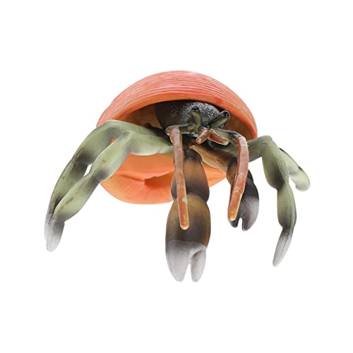 KICHOUSE Einsiedlerkrebs-Modell realistisches Tiermodell Kindertiermodell kinderspielzeug für Simulation Meerestiermodell realistisches Meerestiermodell Plastik von KICHOUSE