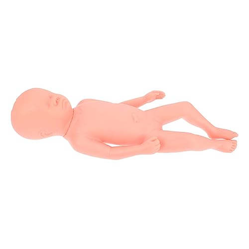 KICHOUSE Fetales Modell Neugeborenes Fötus-modell Plastik-embryo-modell Plastisches Trainingsmodell Embryomodell Ausbildungshilfe Fötusmodell Aus Kunststoff Rosa Pvc von KICHOUSE
