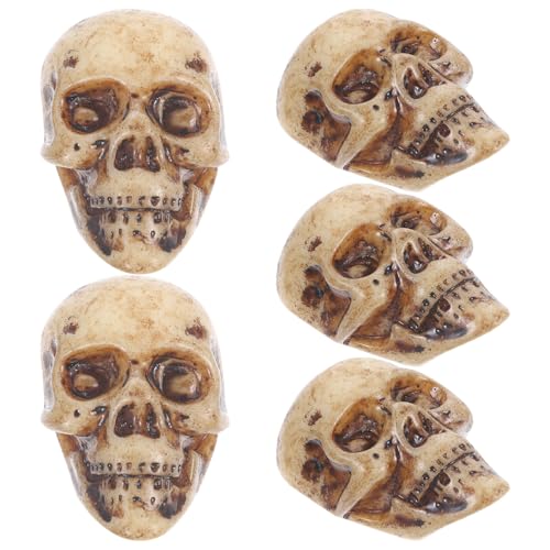 KICHOUSE Heimtisch Realistisch Aussehende aus Schädel Kunsthandwerk Miniatur für Realistischer Künstlicher Menschlicher Totenkopfschmuck Spukhausdekoration Skelettköpfe Totenköpfe Bar KICHOUSE Heimtisch Realistisch Aussehende aus Schädel Kunsthandwerk Miniatur für Realistischer Künstlicher Menschlicher Totenkopfschmuck Spukhausdekoration Skelettköpfe Totenköpfe Bar von KICHOUSE