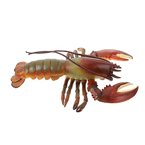 KICHOUSE Hummer-Modell für kindergeschenke Tierfiguren für Tierisches Lernspielzeug -Languste Modell eines Meeresbewohners Hummerfigur Handwerk PVC Colorful KICHOUSE Hummer-Modell für kindergeschenke Tierfiguren für Tierisches Lernspielzeug -Languste Modell eines Meeresbewohners Hummerfigur Handwerk PVC Colorful von KICHOUSE