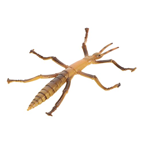 KICHOUSE Kunststoff Insekten Für Lustiges Lernspielzeug Mit Realistischen Details Kreative Spiele Und Partys Für Insektenbeobachtungen Und Frühe Bildung KICHOUSE Kunststoff Insekten Für Lustiges Lernspielzeug Mit Realistischen Details Kreative Spiele Und Partys Für Insektenbeobachtungen Und Frühe Bildung von KICHOUSE