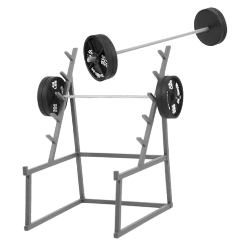 KICHOUSE Miniatur Barbell Modell Teilig mit Ständer Realistische Puppenhaus Fitness Dekoration Detailgetreues Miniatur Sportgerät Zubehör für Puppen und DIY Szenen KICHOUSE Miniatur Barbell Modell Teilig mit Ständer Realistische Puppenhaus Fitness Dekoration Detailgetreues Miniatur Sportgerät Zubehör für Puppen und DIY Szenen von KICHOUSE
