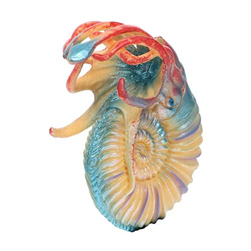 KICHOUSE Nautilus Modell für Realistische Meerestiere Figur Aquarium Deko Lernspielzeug Detailreiche Seekreatur für Kreatives und Dekorieren KICHOUSE Nautilus Modell für Realistische Meerestiere Figur Aquarium Deko Lernspielzeug Detailreiche Seekreatur für Kreatives und Dekorieren von KICHOUSE
