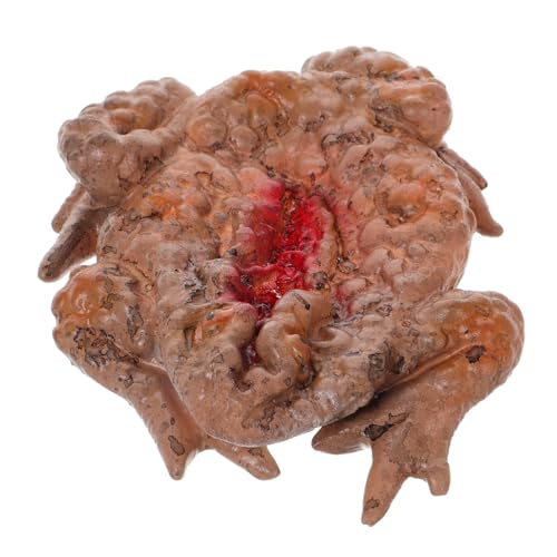KICHOUSE Realistische Kröte Streich Requisite Für Halloween Gruselige Simulation Dekoration Für Partys Spukhäuser Und Garten Zufällige Blutflecken von KICHOUSE