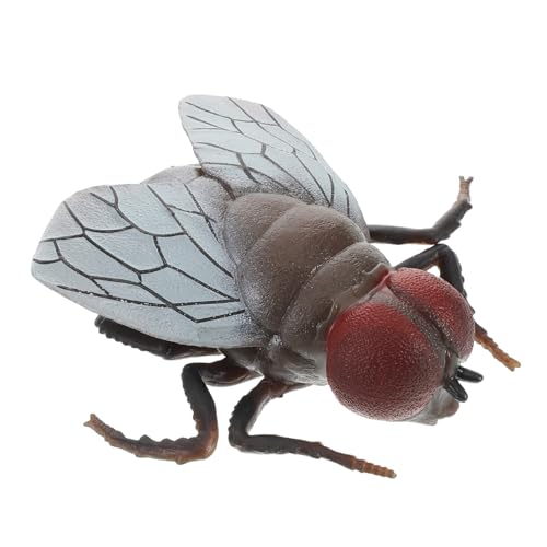 KICHOUSE Realistisches Fliegenmodell für Lebensechte Fliege Streichspielzeug und Halloween Dekoration für Schreibtisch Raumdekor und Lustige Überraschungen bei Festen von KICHOUSE