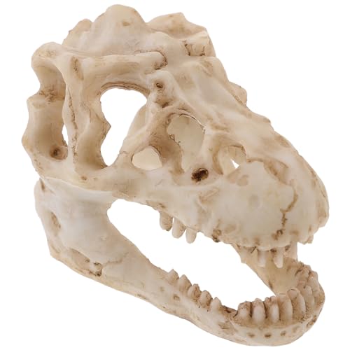 KICHOUSE Reptilien Dinosaurier Schädelmodell Aus Kunstharz Menschliches Skelett Schädelköpfe Dinosaurier Schlafzimmerzubehör Dinosauriermaske Requisite Künstliche Knochen Halloween KICHOUSE Reptilien Dinosaurier Schädelmodell Aus Kunstharz Menschliches Skelett Schädelköpfe Dinosaurier Schlafzimmerzubehör Dinosauriermaske Requisite Künstliche Knochen Halloween von KICHOUSE
