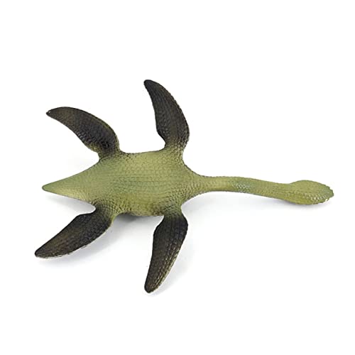 KICHOUSE Simulation Dinosaurier Plesiosaurier Modell Realistische Meeressaurier Figur für Leichtes Lernspielzeug Dekorieren Pädagogisches für Jungen und Mädchen KICHOUSE Simulation Dinosaurier Plesiosaurier Modell Realistische Meeressaurier Figur für Leichtes Lernspielzeug Dekorieren Pädagogisches für Jungen und Mädchen von KICHOUSE
