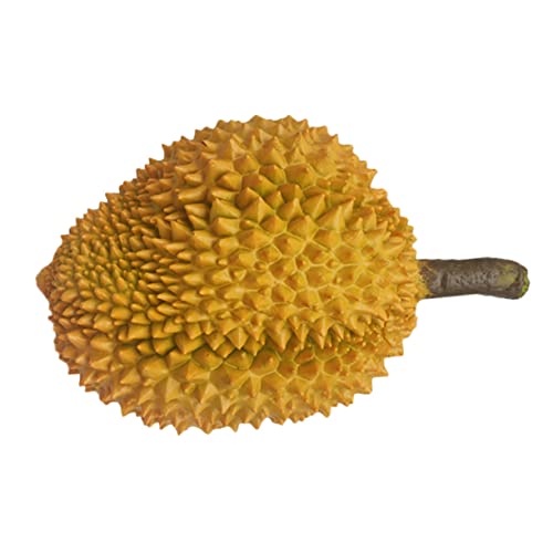 KICHOUSE Simulation Durian Lebensecht Hochzeitsrequisiten gefälschte künstlich Ornament Künstliche Früchte Heimdekoration gefälschte Fruchtverzierung Plastik Brown KICHOUSE Simulation Durian Lebensecht Hochzeitsrequisiten gefälschte künstlich Ornament Künstliche Früchte Heimdekoration gefälschte Fruchtverzierung Plastik Brown von KICHOUSE