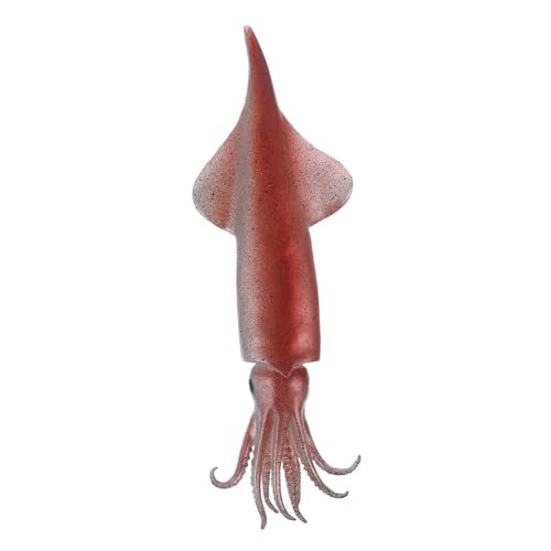 KICHOUSE Simuliertes Tintenfischmodell falsches Fleisch künstliches Fleisch realistische Lebensmittelrequisiten Realistisches Desktop -Modell Ernährungsmodelle für den Unterricht PVC KICHOUSE Simuliertes Tintenfischmodell falsches Fleisch künstliches Fleisch realistische Lebensmittelrequisiten Realistisches Desktop -Modell Ernährungsmodelle für den Unterricht PVC von KICHOUSE