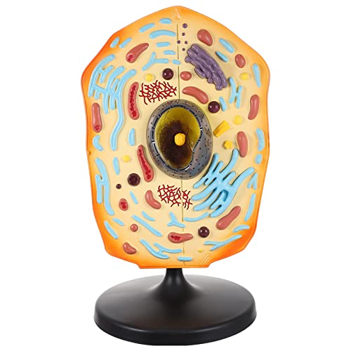 KICHOUSE Tierszellmodell für Biologieunterricht Realistisches Lehrmittel zur Tierzellanatomie für und Unterstützt Anschauliches Lernen und KICHOUSE Tierszellmodell für Biologieunterricht Realistisches Lehrmittel zur Tierzellanatomie für und Unterstützt Anschauliches Lernen und von KICHOUSE