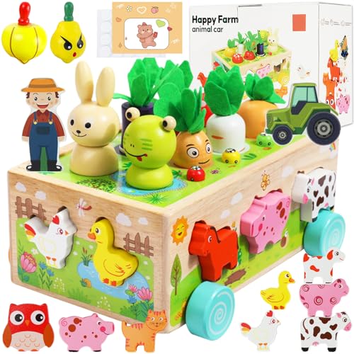 KIMIGO Montessori Spielzeug ab 1 2 3 Jahr,Kinder Holzspielzeug Motorikspielzeug ab 1 Jahr,Montessori Geschenk Mädchen Jungen,Hand Auge Koordination Motorikspielzeug,Baby Kinder Montessori Spielzeug KIMIGO Montessori Spielzeug ab 1 2 3 Jahr,Kinder Holzspielzeug Motorikspielzeug ab 1 Jahr,Montessori Geschenk Mädchen Jungen,Hand Auge Koordination Motorikspielzeug,Baby Kinder Montessori Spielzeug von KIMIGO