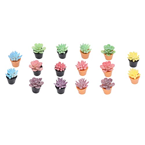 KIMISS 16pcs Dollhouse Miniatur -Topfpflanzen - Lebensechter Harz Sukkulenten Im Maßstab 1:12 mit Lebendigen Farben für Dollhouse Dekor, Landschaft und DIY Handwerk von KIMISS
