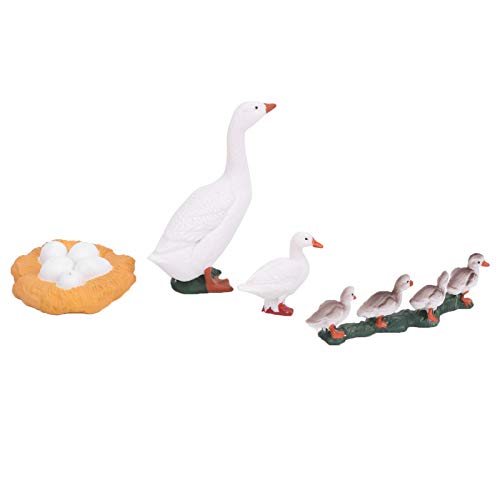 KIMISS 4 -Stufe Wachstum, Zyklusmodell Tier Enten Leben Spielzeugtiere Dinosaurier & Prähistorische Kreaturen Models Pädagogischer Toyb Interaktives Lernen e Onal für Kleinkind (A) von KIMISS
