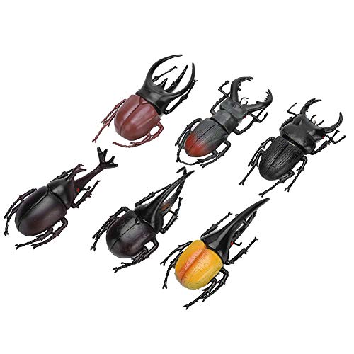 KIMISS 6PCS CT Model Halloween Trick Requisiten - Realistische Ungiftige PVC -CT Spielzeuge für die Angst und Gartendekoration (#2) von KIMISS